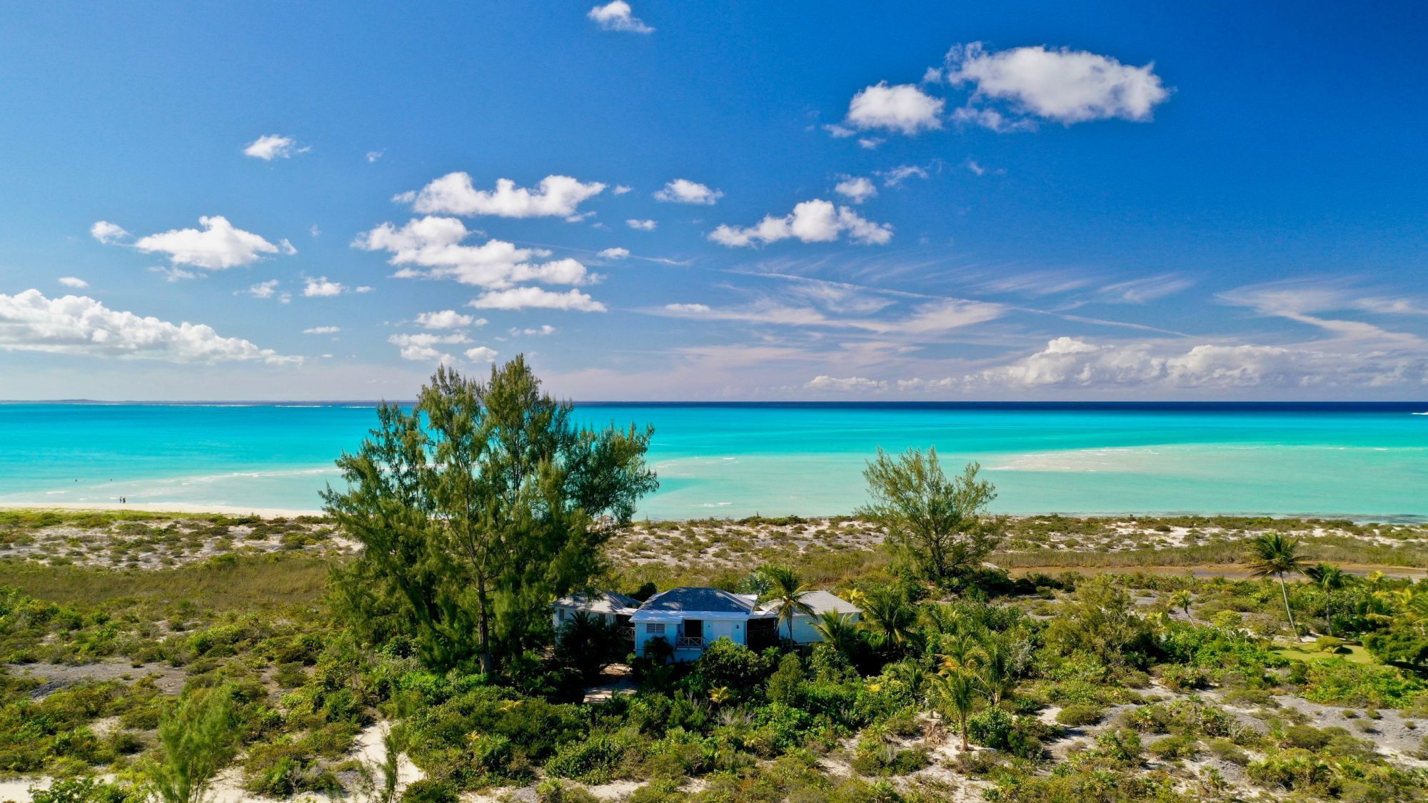 Pine Cay real estate
