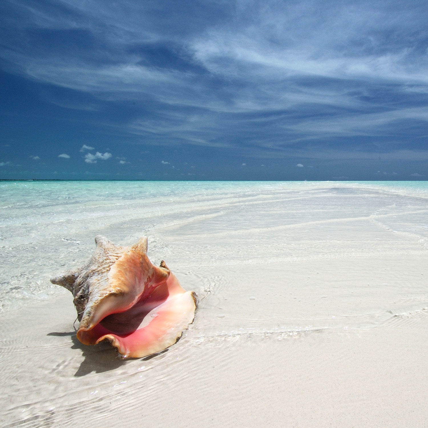 Pine Cay, The Meridian Club