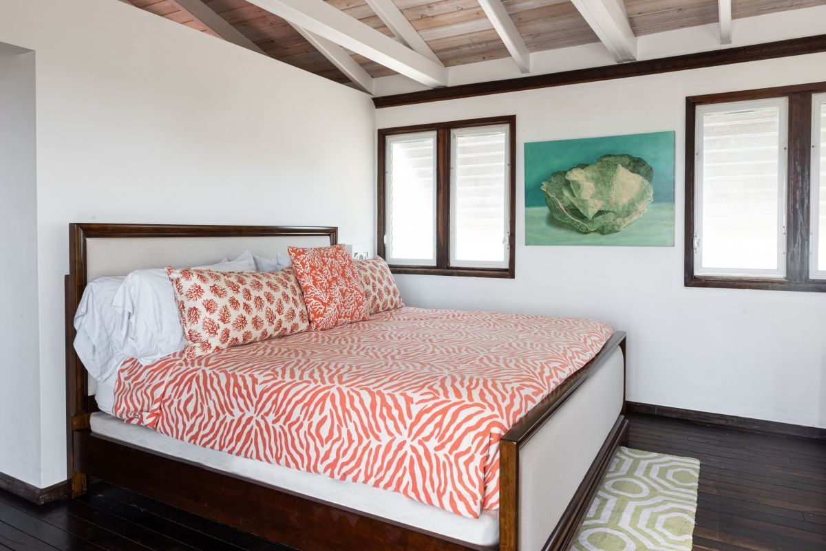 Pine Cay Properties - Dragonfly