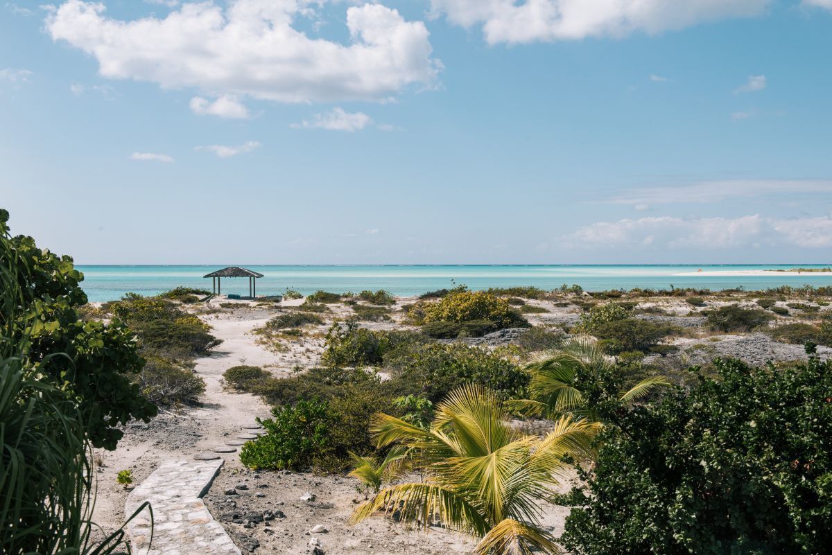 Pine Cay Properties - Dragonfly