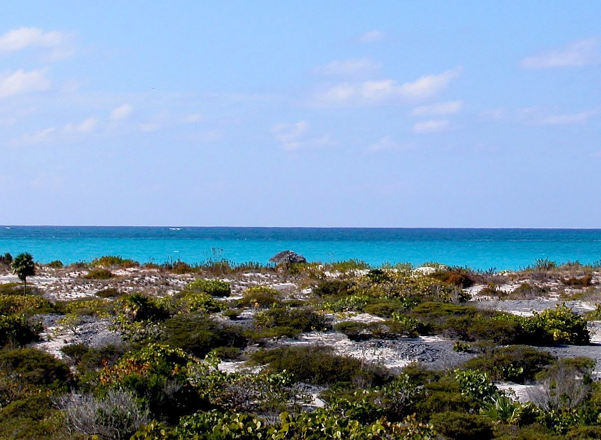 Pine Cay properties Eugenias