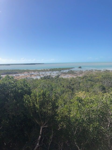 Pine Cay properties